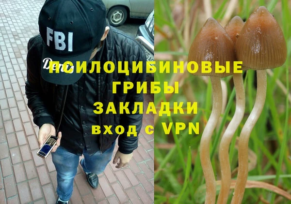 винт Алзамай