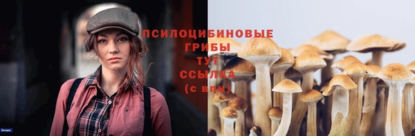 спиды Алексеевка