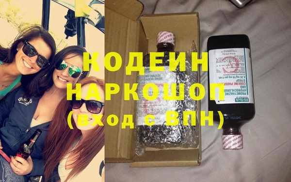 прущие грибы Медвежьегорск