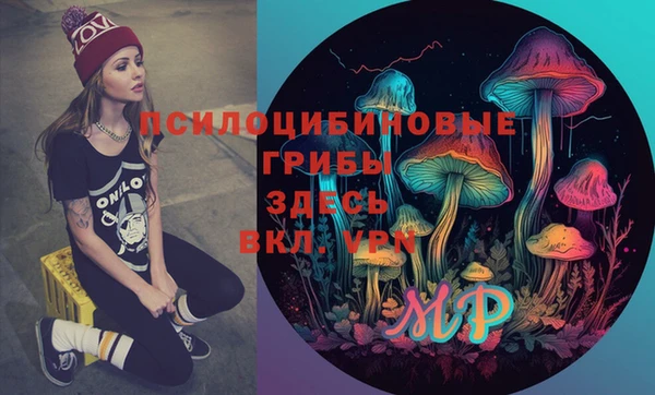 стаф Аркадак