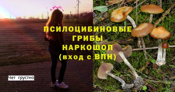 спиды Алексеевка
