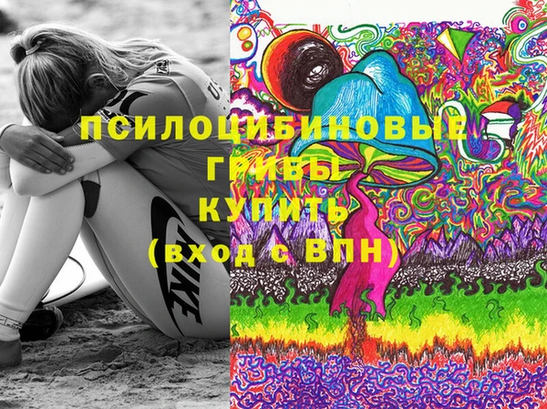 спиды Алексеевка