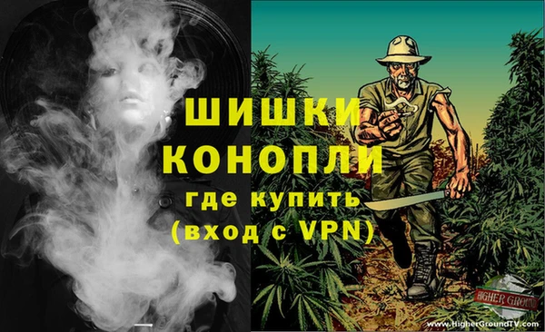 прущие грибы Медвежьегорск