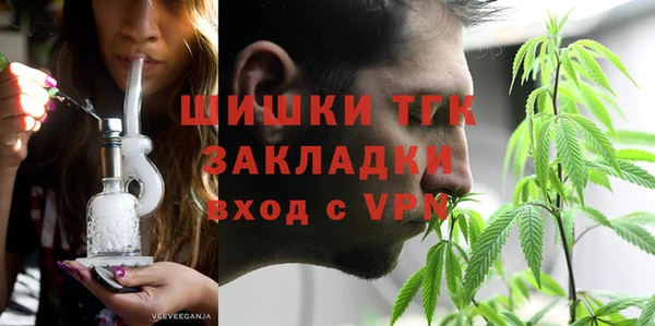 стаф Аркадак